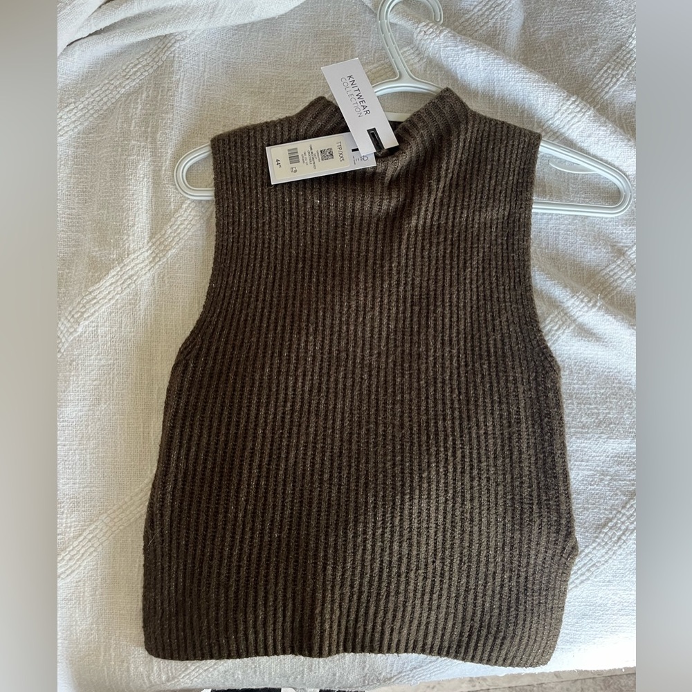 Dynamite Ribbed Brown Sleeveless Turtleneck Sweater